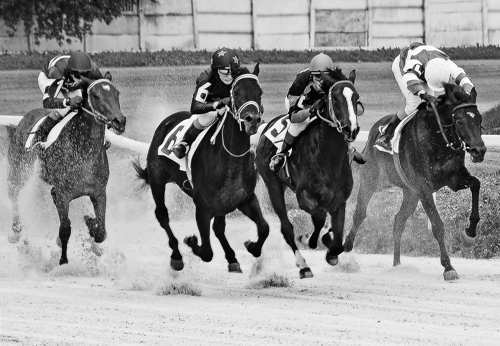 Photograph by Сергей Сережников