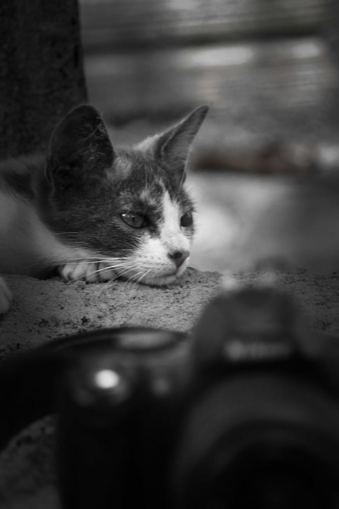 Photograph by CRISTINA NASCIMENTO