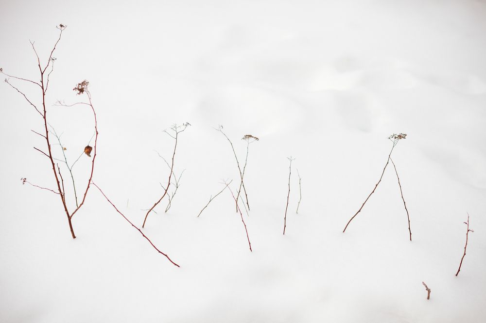 Photograph by Натали Захарова (Тай)