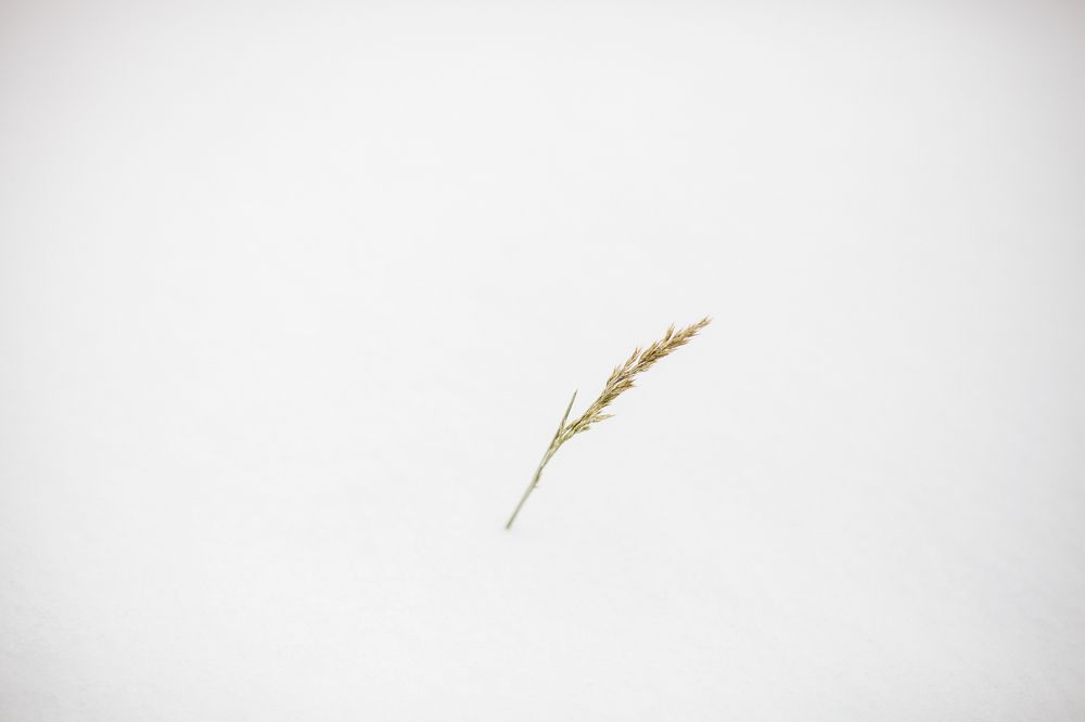 Photograph by Натали Захарова (Тай)