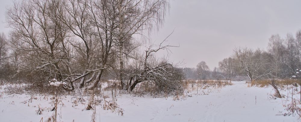 Фотография автора Стоялов Александр