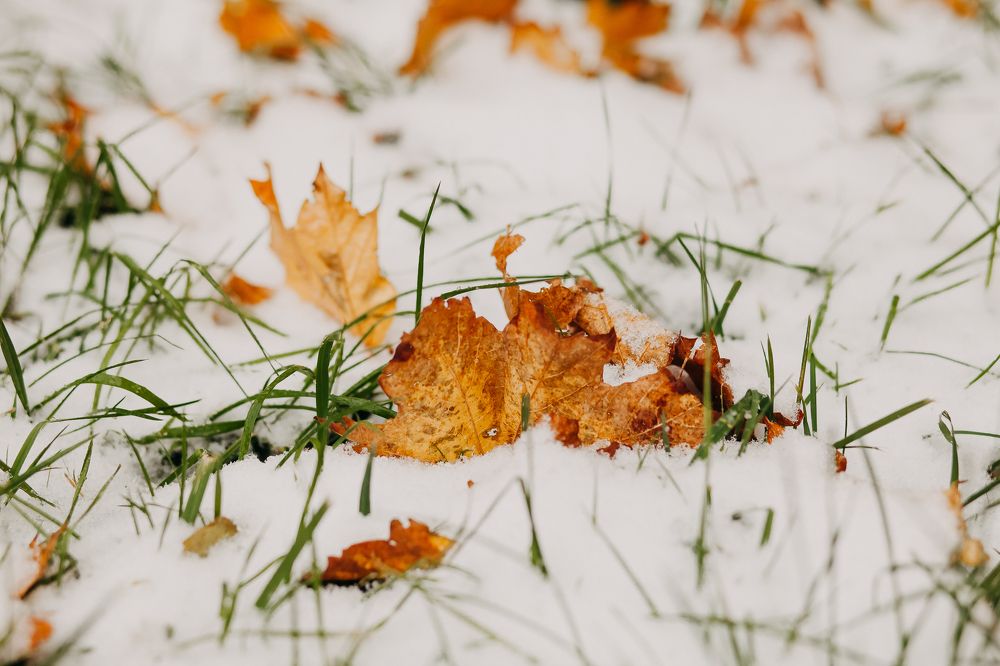 Photograph by Натали Захарова (Тай)