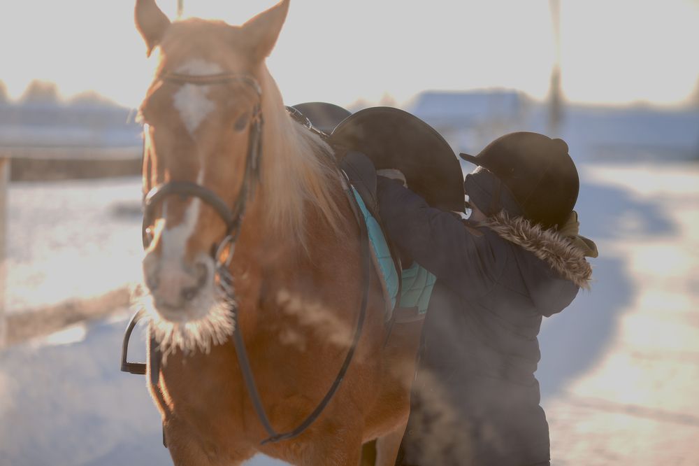 Photograph by Лариса Цепелева