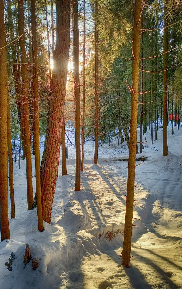 Photograph by Владимир Гречанинов