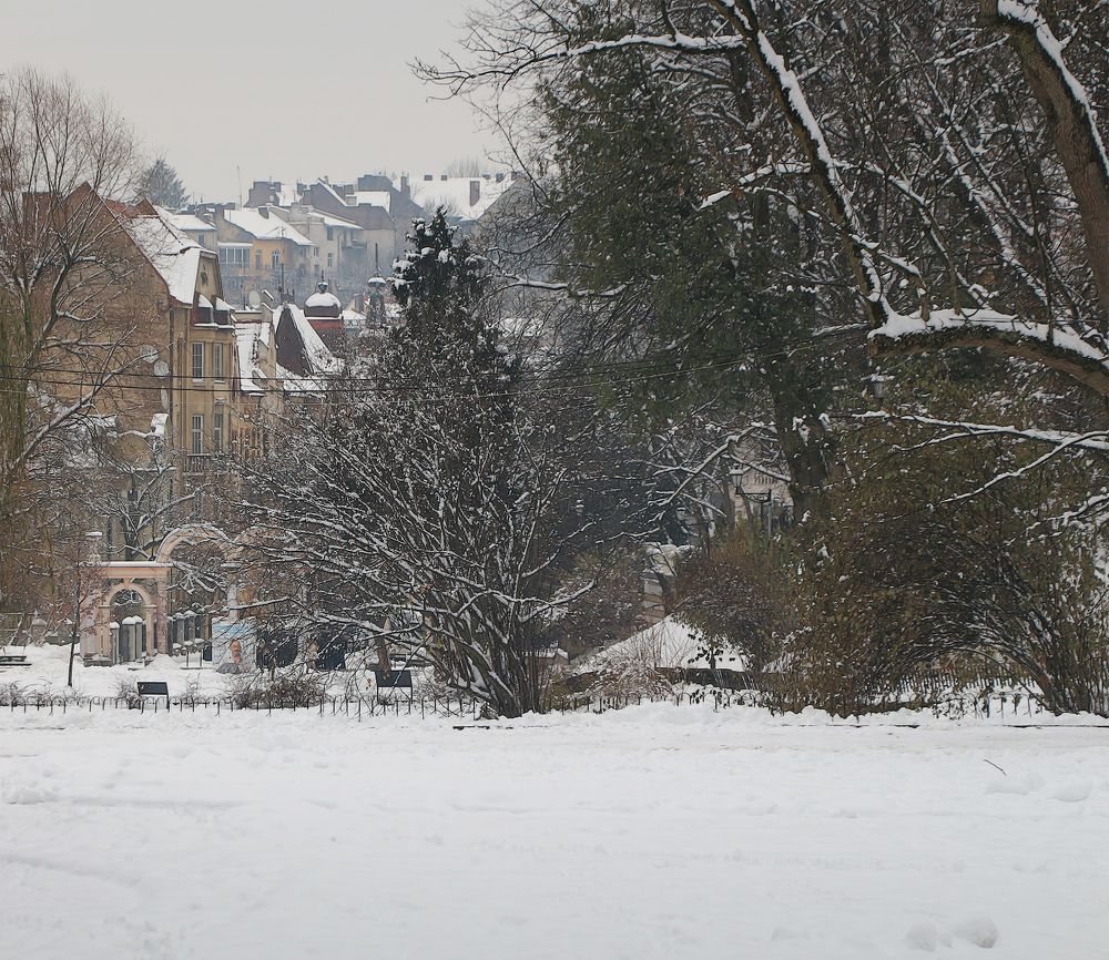 Photograph by Elena Zorina