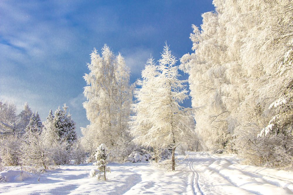 Photograph by Yury Bazhenov