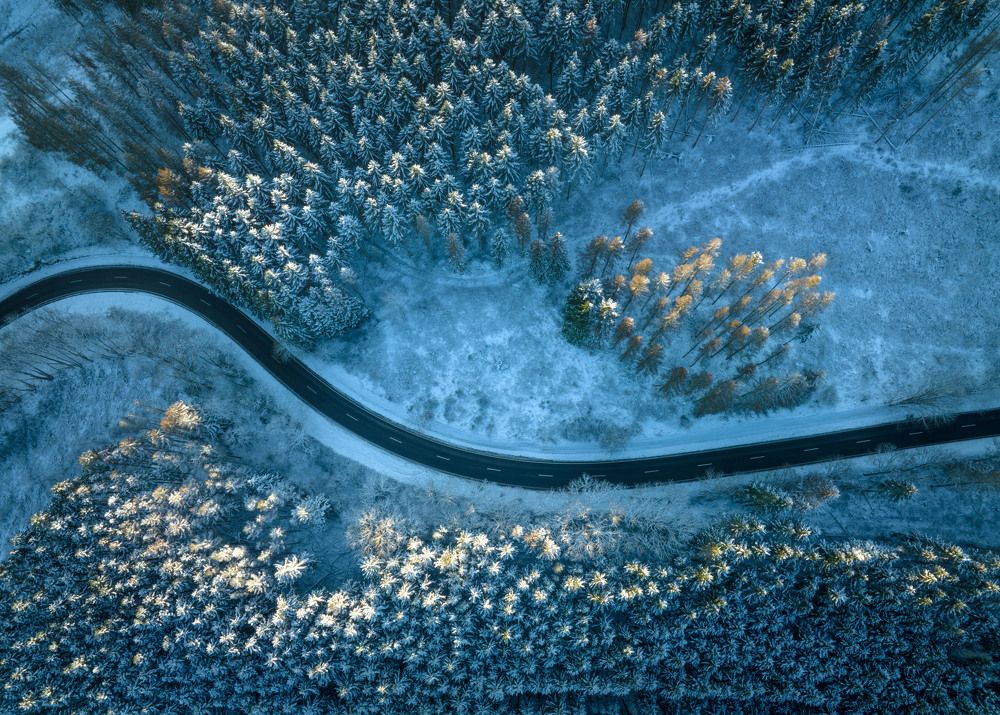 Photograph by Guy Krier