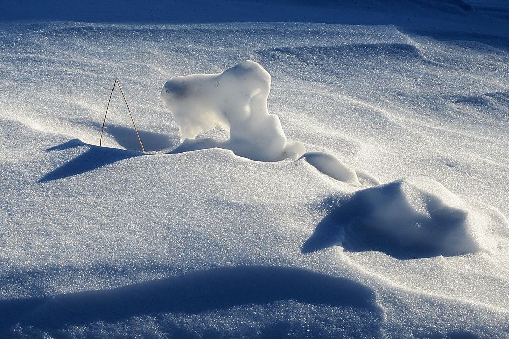 Photograph by Фарит