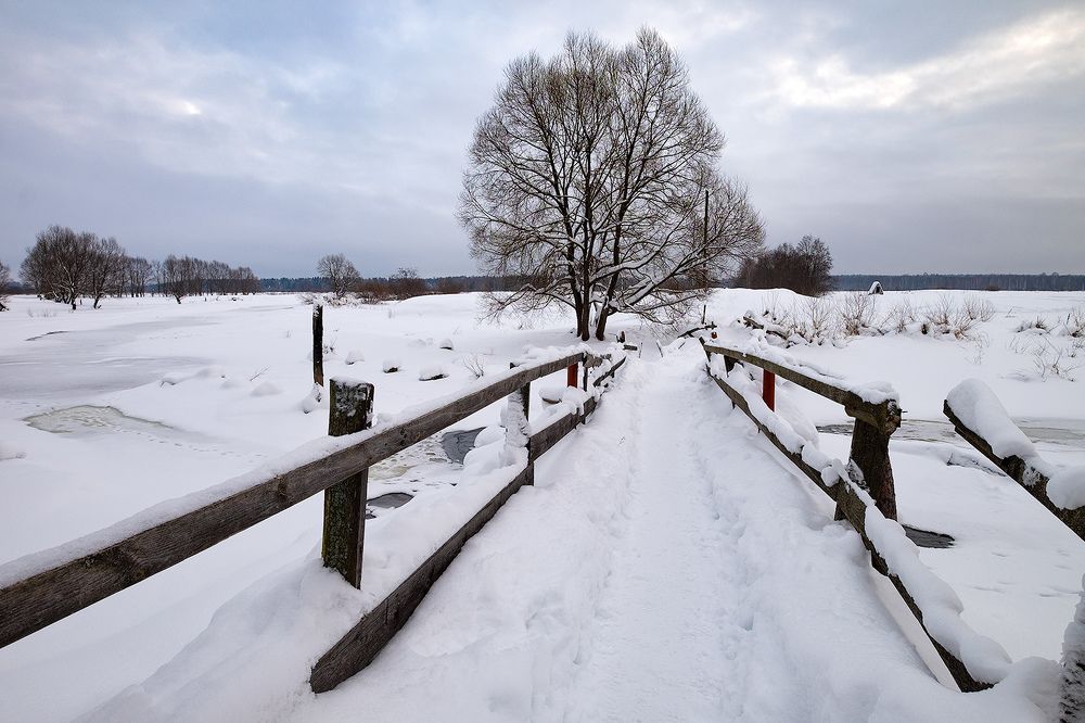 Photograph by Kaiser Sozo