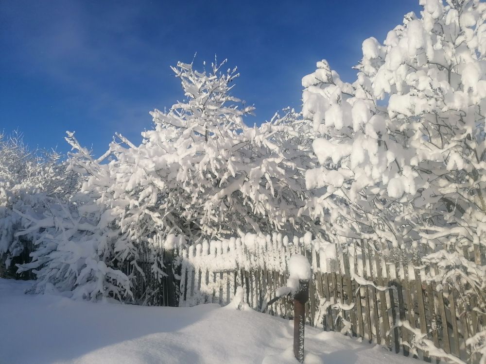 Photograph by Алена Храмец