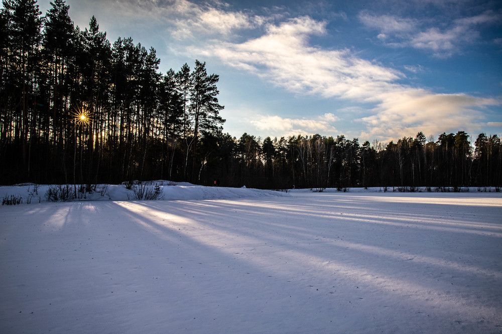 Фотография автора Ирина Гриценко