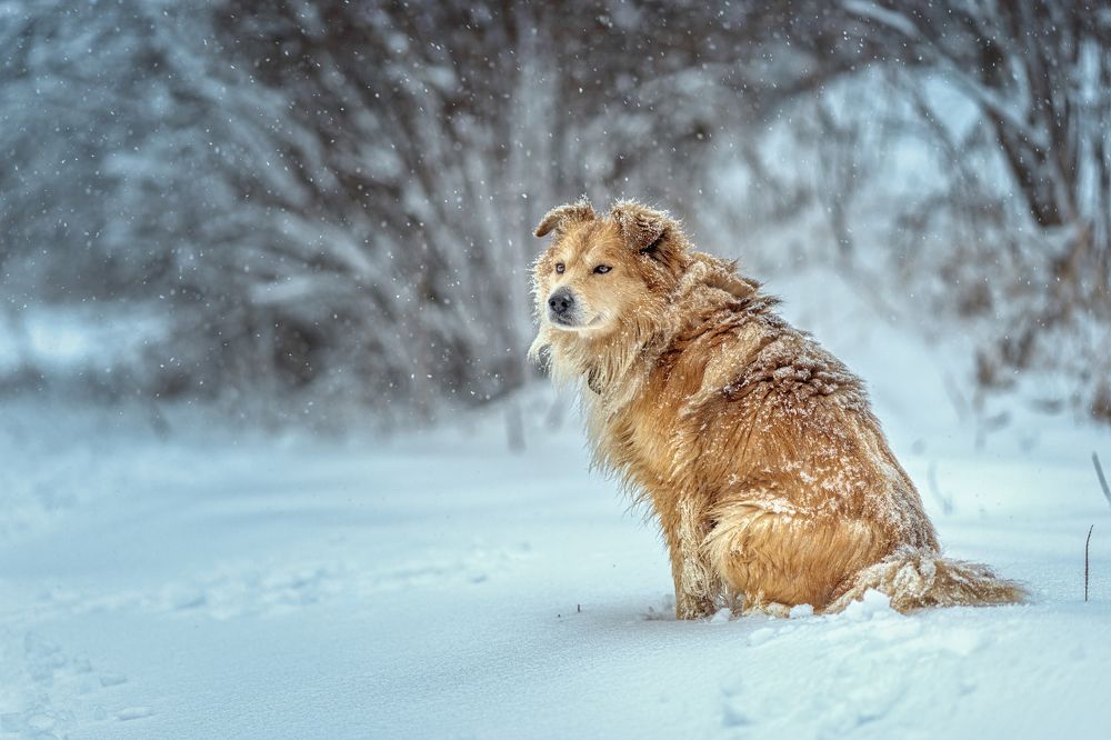 Photograph by Дарья Базарнова