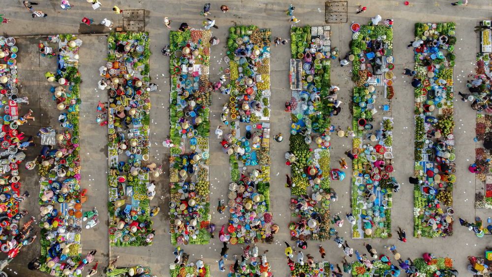 Photograph by khai nguyen tuan