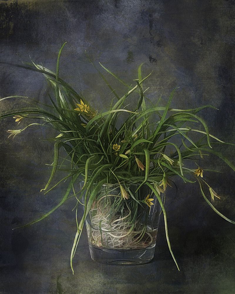 Фотография автора Eirene G