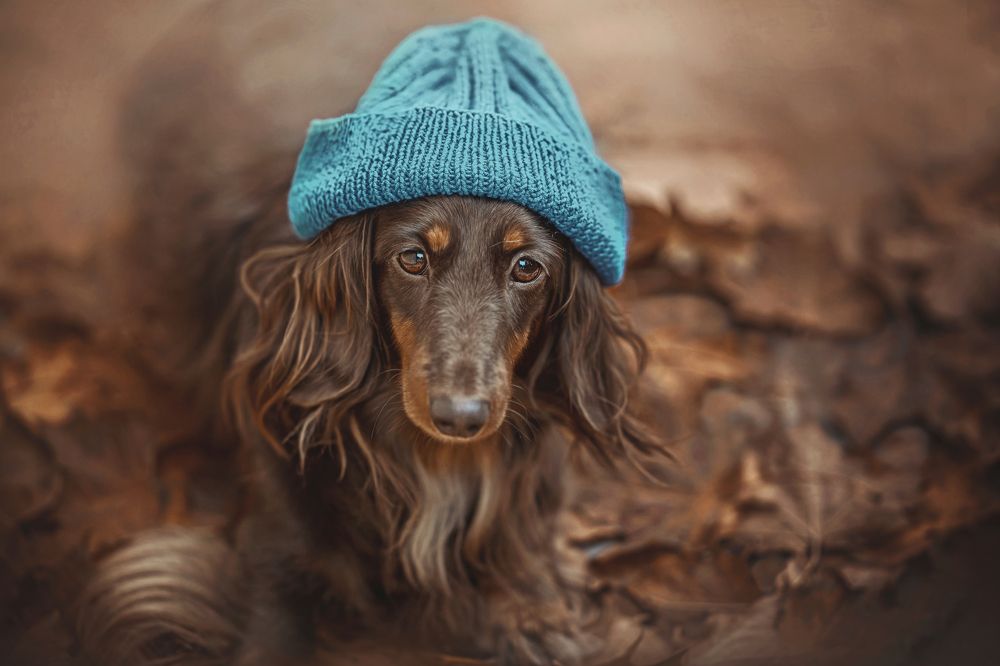 Photograph by Дарья Базарнова