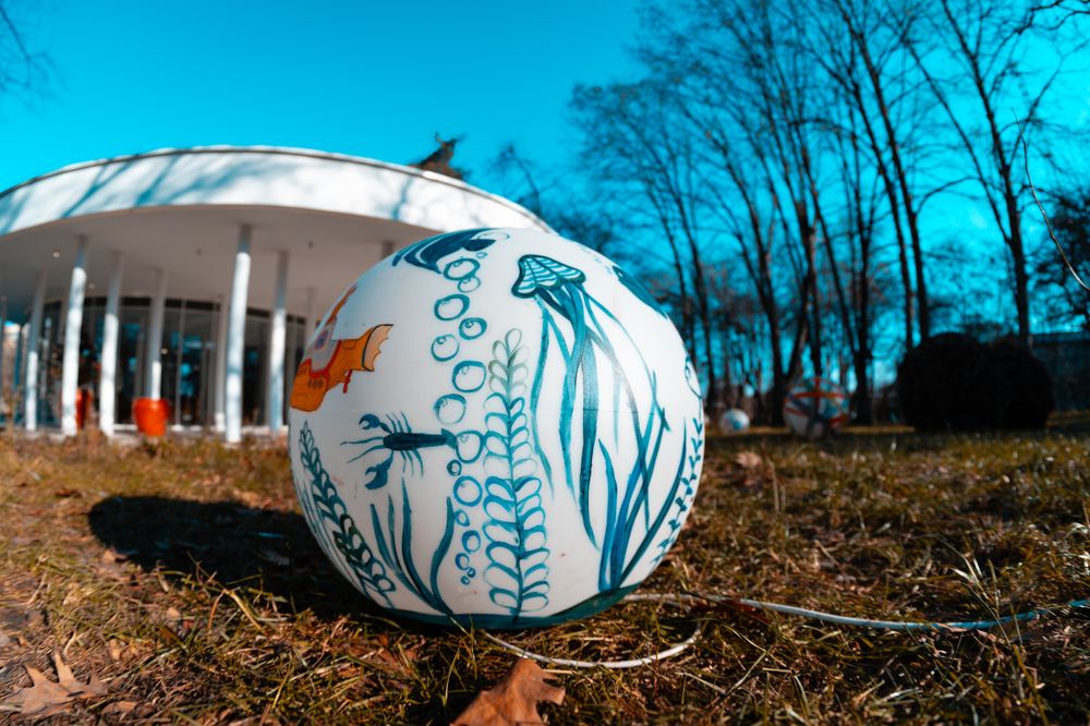 Фотография автора Дмитрий Referee