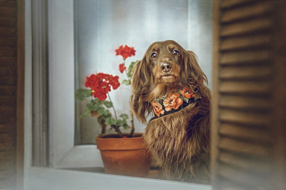 Photograph by Дарья Базарнова