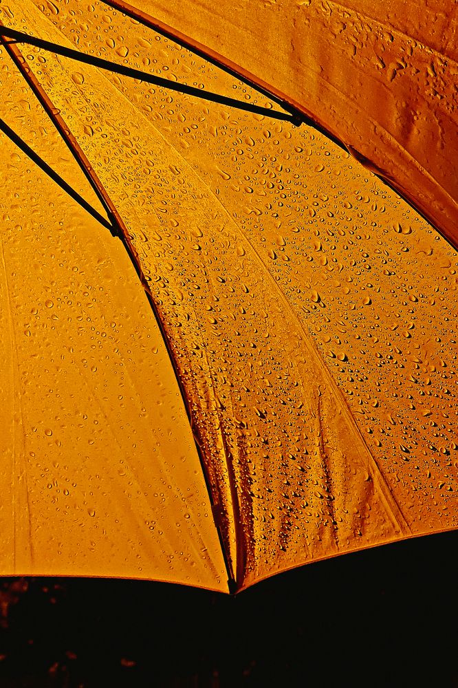 Photograph by Георгий Шеханов