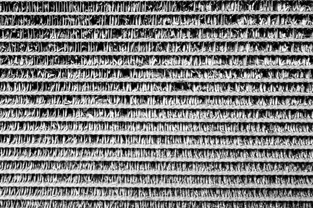 Photograph by Георгий Шеханов