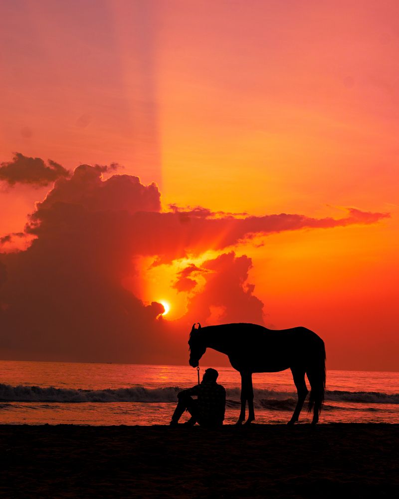 Photograph by Pranav K.S