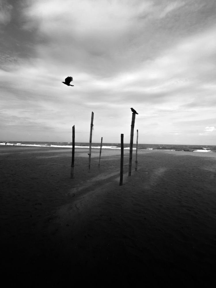 Photograph by Saranga Abeykoon