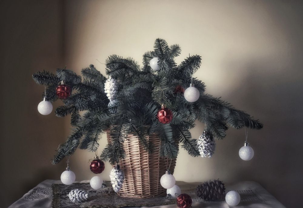 Photograph by Кира Бахвалова