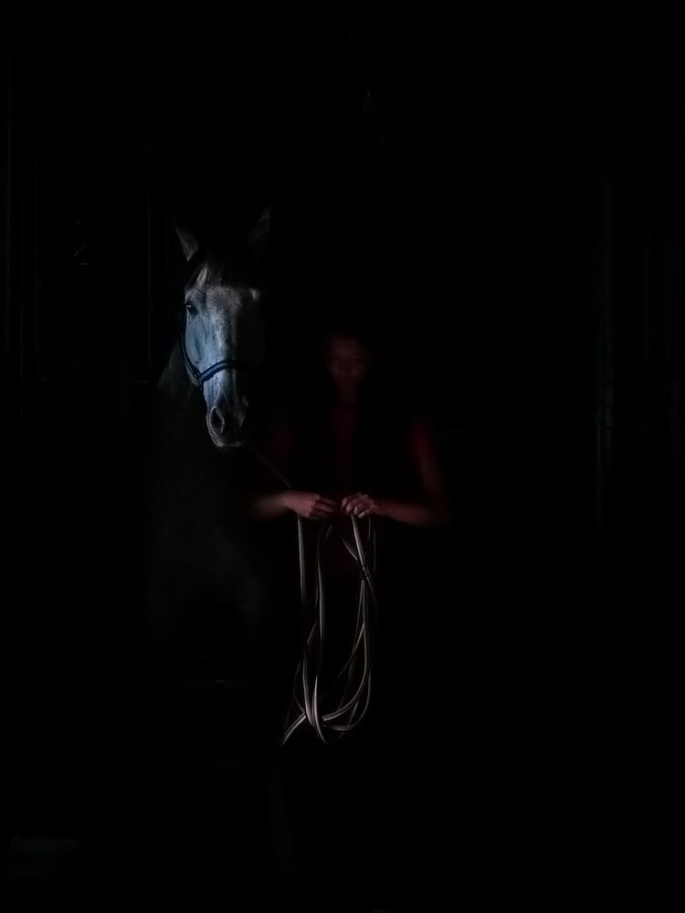 Photograph by Raimonds Dambis