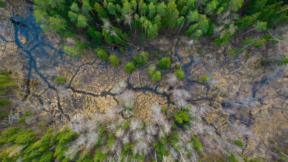 Фотография автора Ze Vi