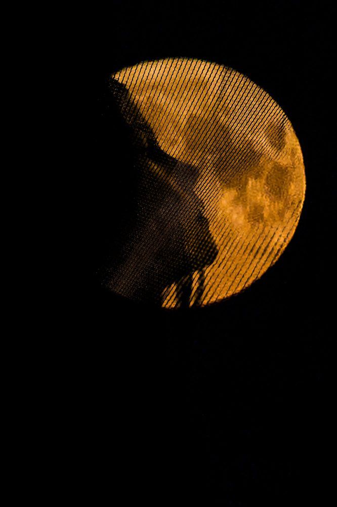 Фотография автора Наталья Новикова