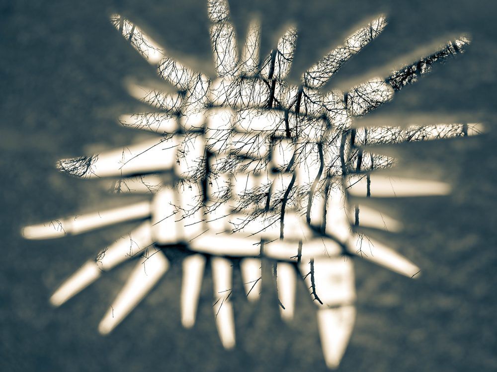 Фотография автора Ирина Гриценко