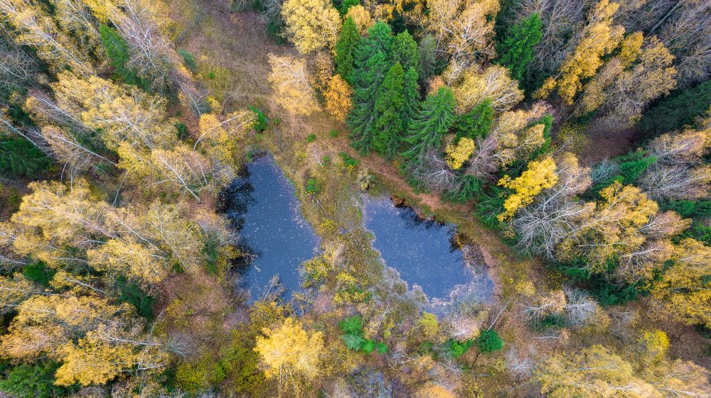 Фотография автора Ze Vi