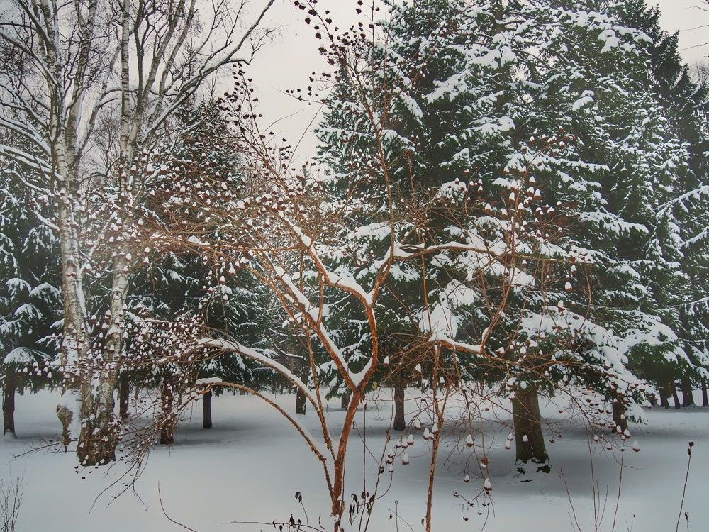Photograph by Наталия Романова