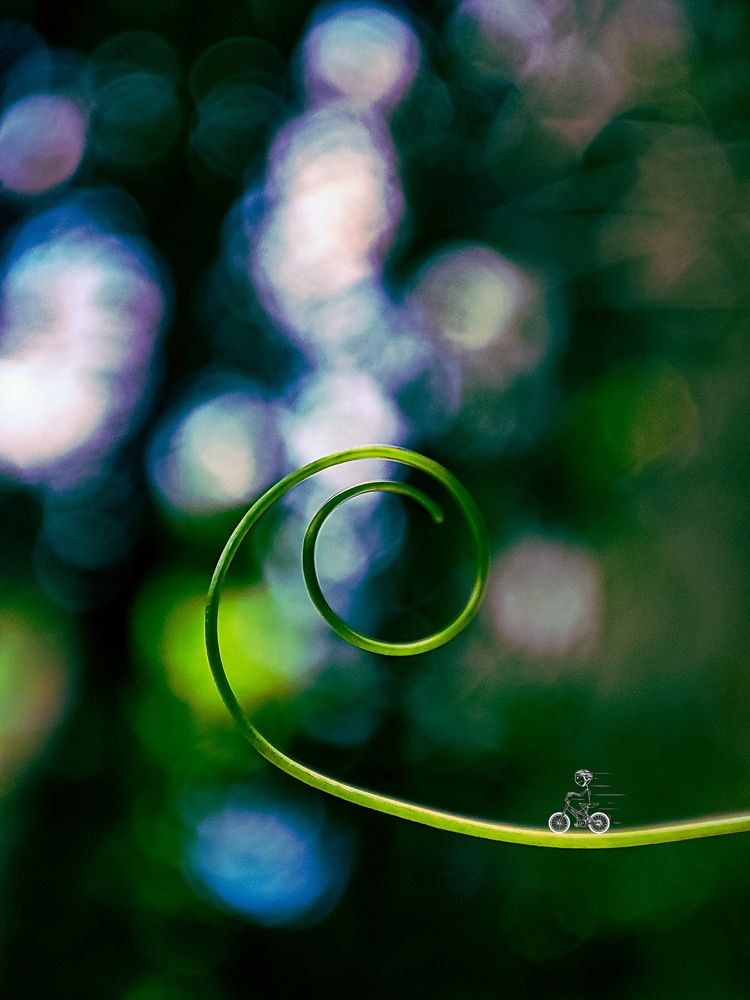 Photograph by Bragadeesh R