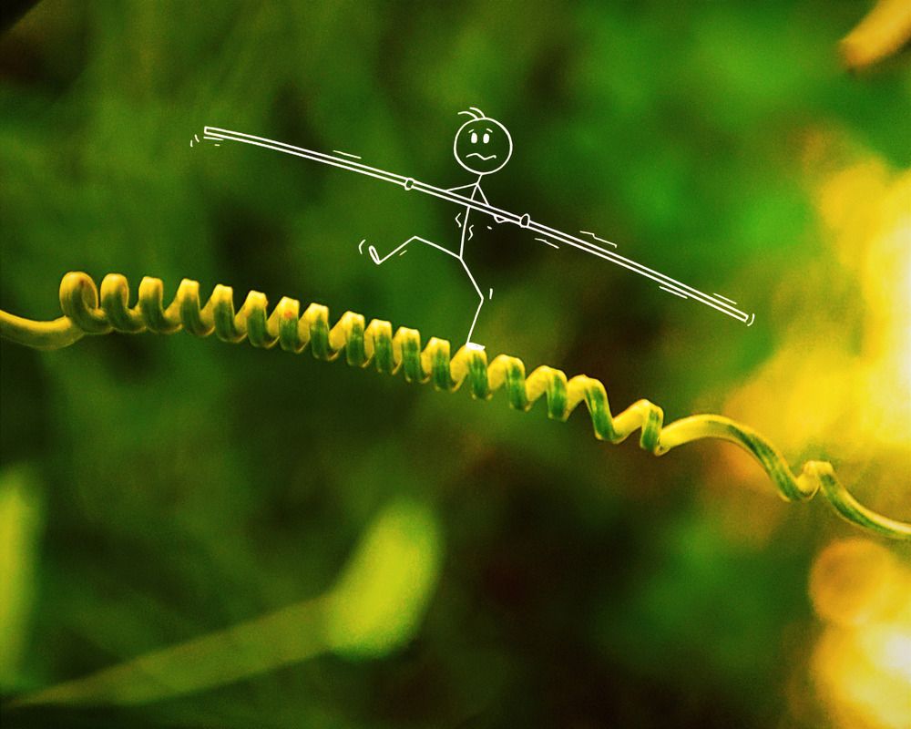 Photograph by Bragadeesh R