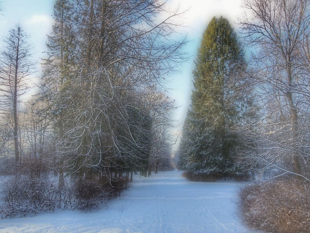Photograph by Наталия Романова