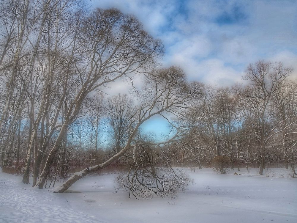 Photograph by Наталия Романова