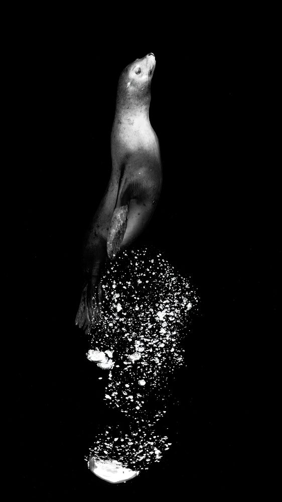 Photograph by Merche Llobera