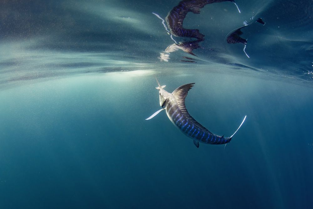 Photograph by Merche Llobera