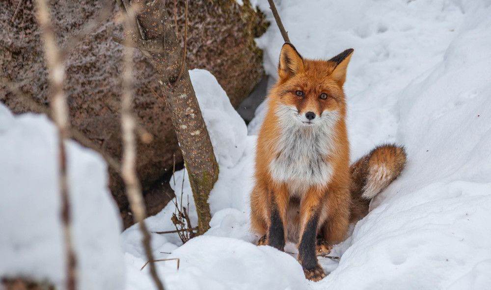 Photograph by Толян Бууулочкин