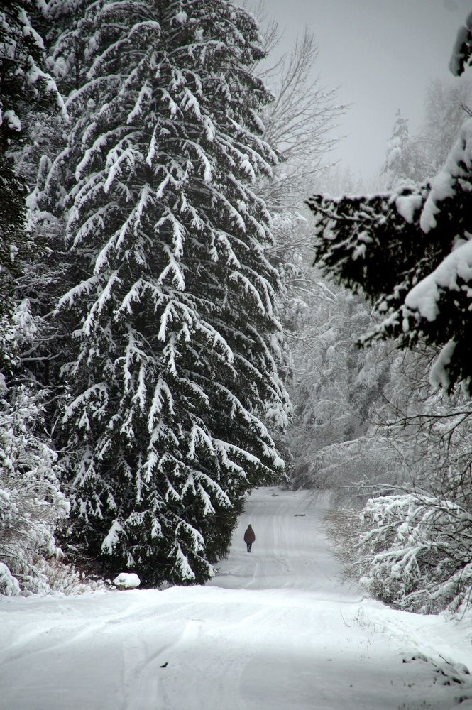 Photograph by Raimonds Dambis