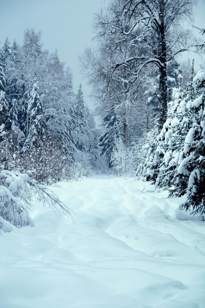 Photograph by Raimonds Dambis