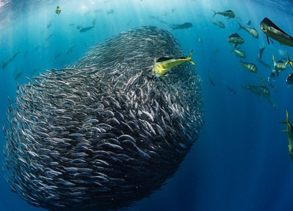 Photograph by Merche Llobera