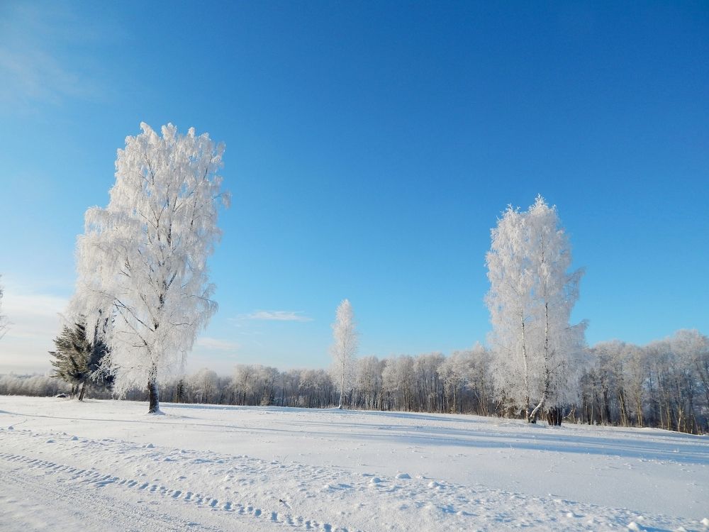 Photograph by Юрий Пучков