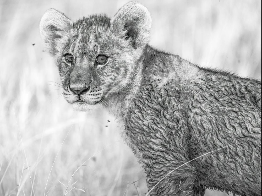 Photograph by Merche Llobera