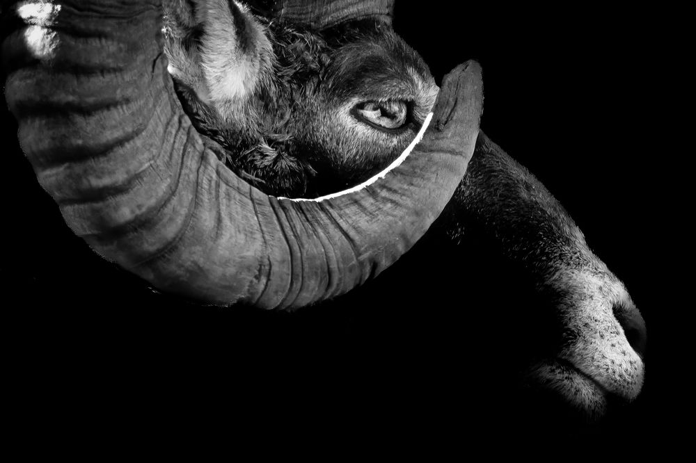 Photograph by Rémi Vacher