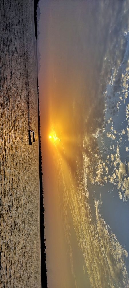 Photo #10049183