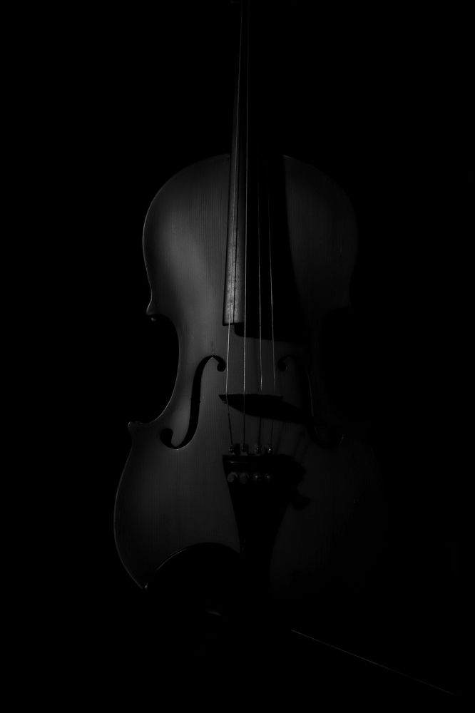 The Stradivarius