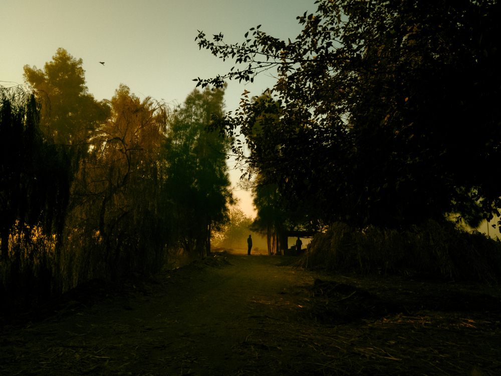 Photograph by Abdalla Khames