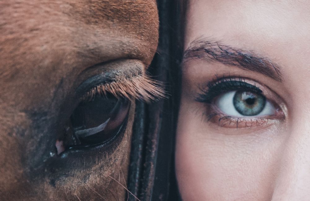 Photograph by Яна Пикулик