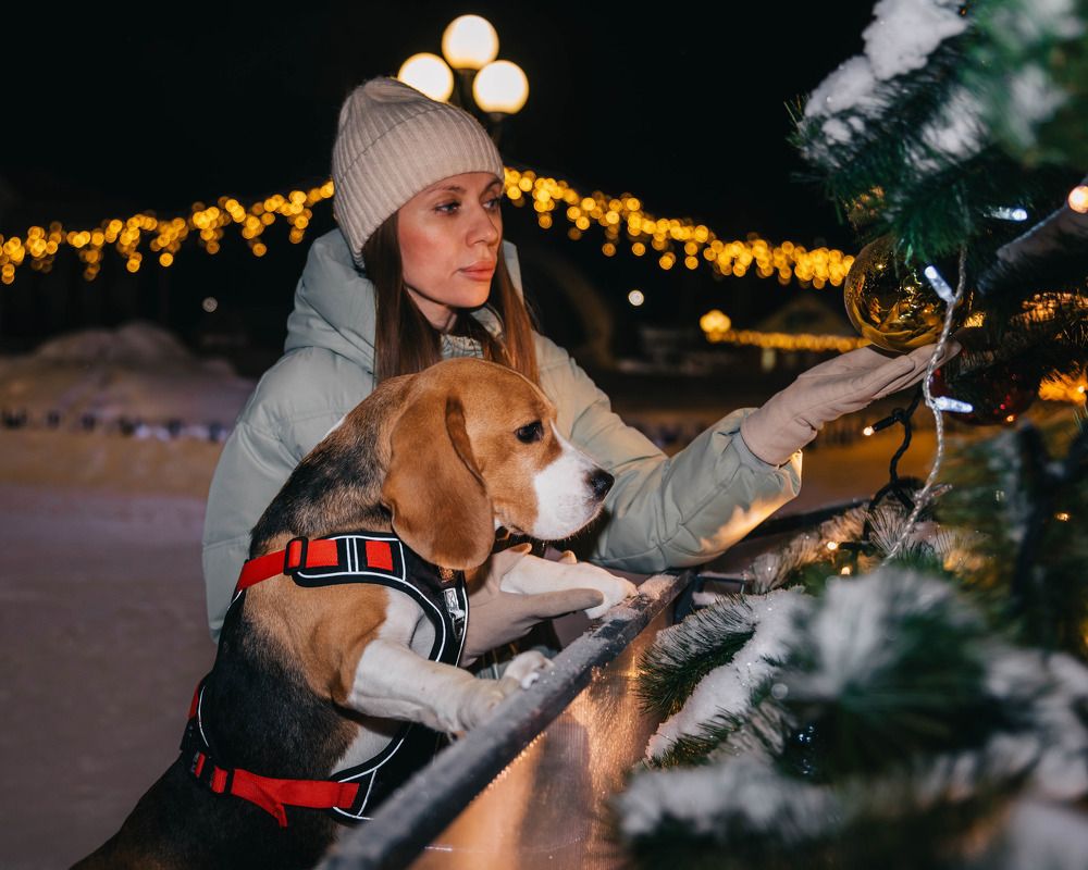 Фотография автора Яврова Татьяна